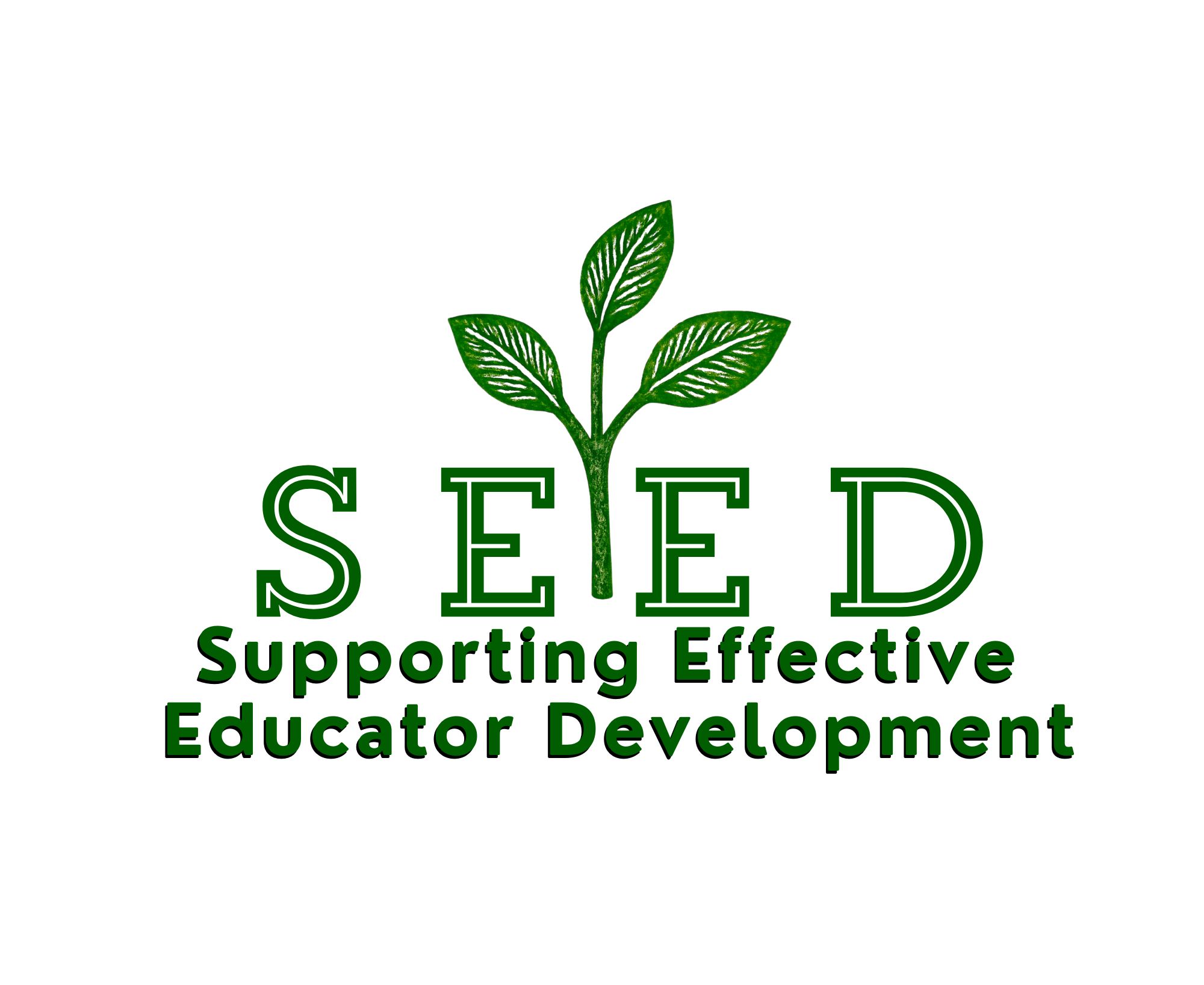 The SEED logo, with a sprout coming out of the text.